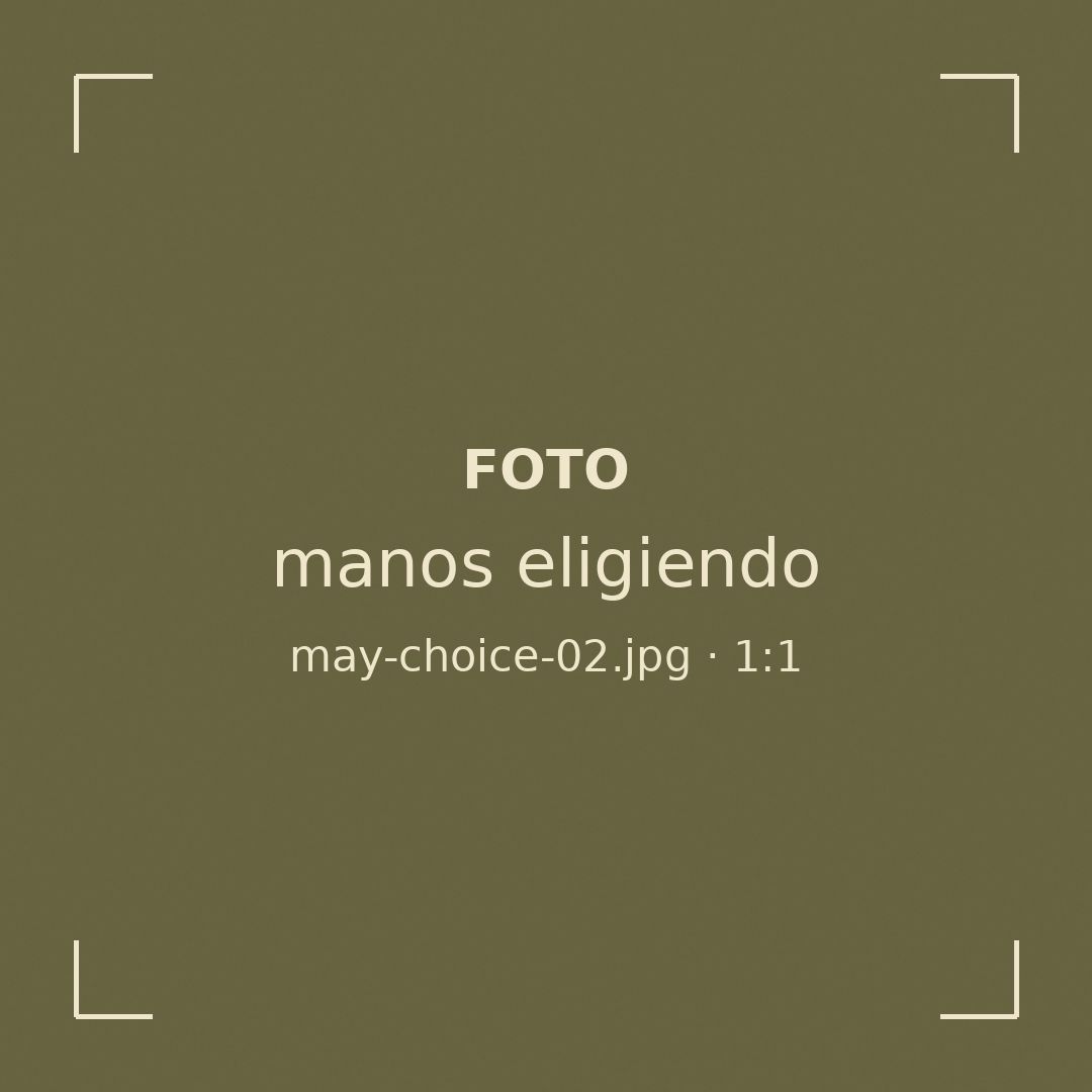 Manos de May escogiendo un pastel entre varios